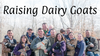 Our New Raising Dairy Goats Course!