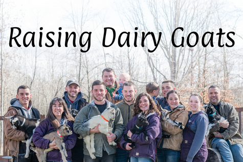 Raising Dairy Goats Online Course